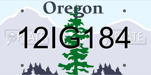12IG184 Oregon License Plate