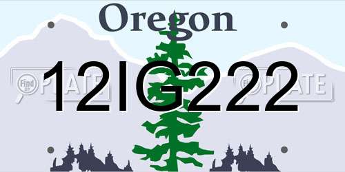 12IG222 Oregon License Plate