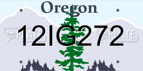 12IG272 Oregon License Plate
