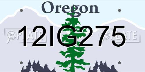 12IG275 Oregon License Plate