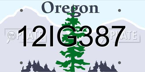 12IG387 Oregon License Plate