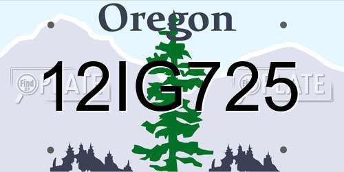 12IG725 Oregon License Plate