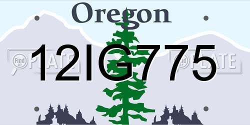 12IG775 Oregon License Plate