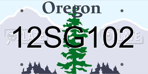 12SG102 Oregon License Plate