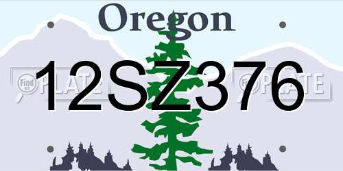12SZ376 Oregon License Plate