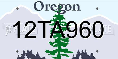 12TA960 Oregon License Plate