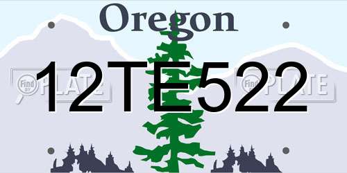 12TE522 Oregon License Plate