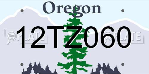 12TZ060 Oregon License Plate