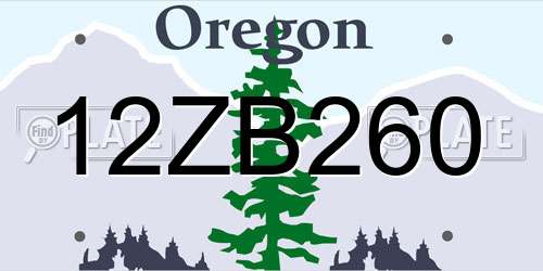 12ZB260 Oregon License Plate