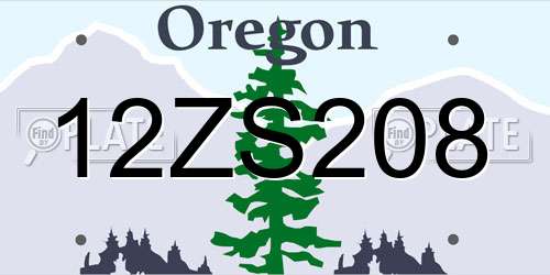 12ZS208 Oregon License Plate