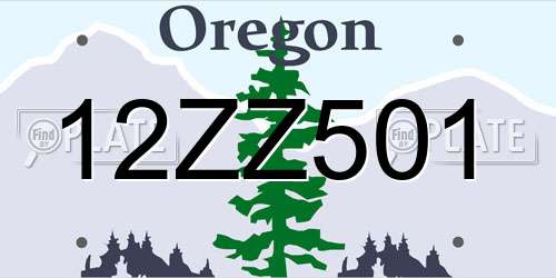 12ZZ501 Oregon License Plate
