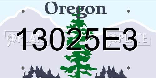13025E3 Oregon License Plate