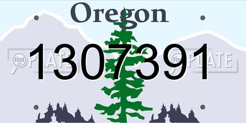 1307391 Oregon License Plate
