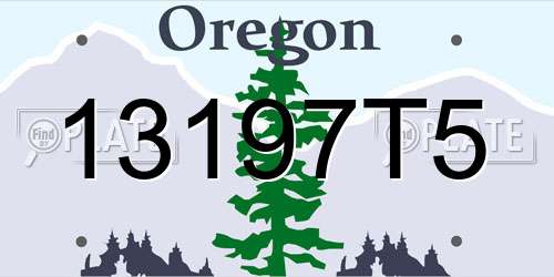 13197T5 Oregon License Plate