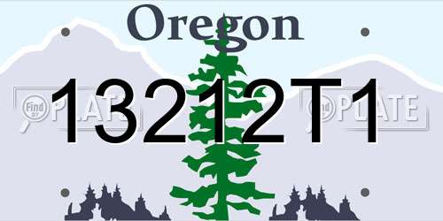 13212T1 Oregon License Plate