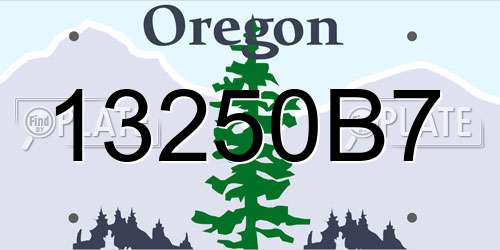 13250B7 Oregon License Plate