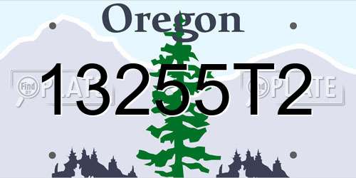 13255T2 Oregon License Plate