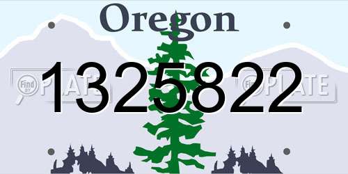 1325822 Oregon License Plate