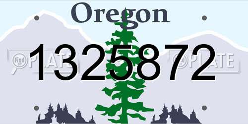 1325872 Oregon License Plate