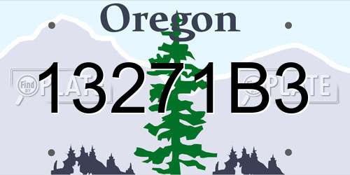 13271B3 Oregon License Plate