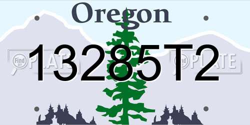 13285T2 Oregon License Plate