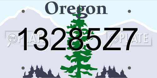 13285Z7 Oregon License Plate