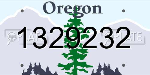 1329232 Oregon License Plate