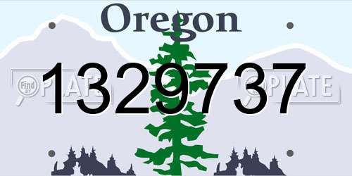 1329737 Oregon License Plate