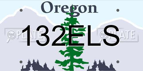 132ELS Oregon License Plate