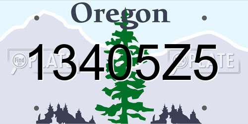 13405Z5 Oregon License Plate