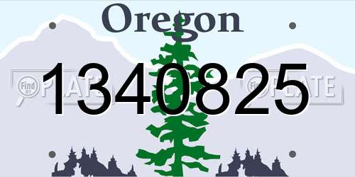 1340825 Oregon License Plate
