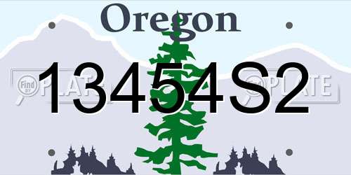 13454S2 Oregon License Plate