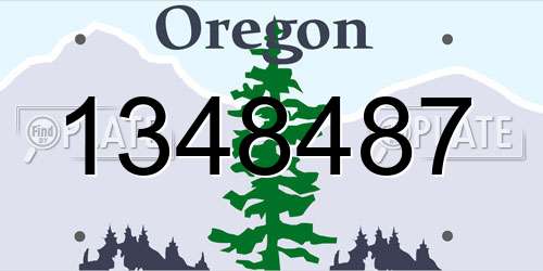 1348487 Oregon License Plate