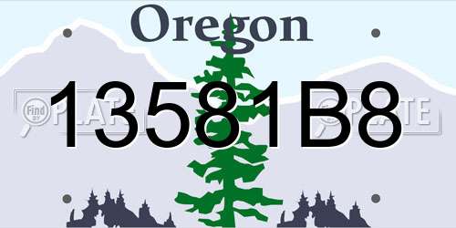 13581B8 Oregon License Plate