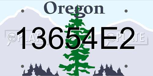 13654E2 Oregon License Plate