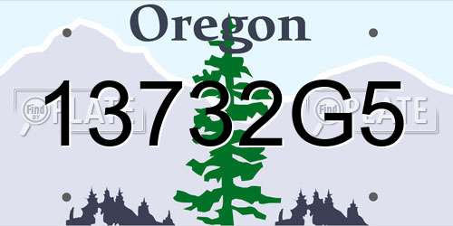 13732G5 Oregon License Plate