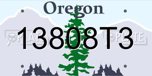 13808T3 Oregon License Plate