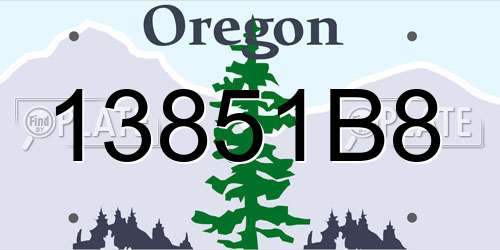 13851B8 Oregon License Plate
