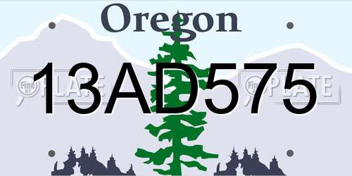 13AD575 Oregon License Plate