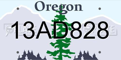 13AD828 Oregon License Plate