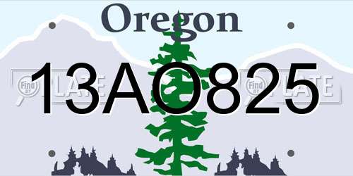 13AO825 Oregon License Plate
