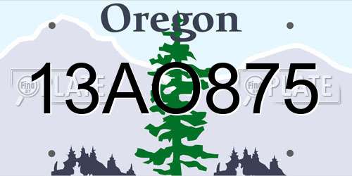 13AO875 Oregon License Plate