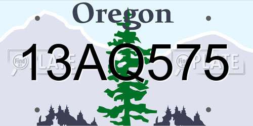 13AQ575 Oregon License Plate