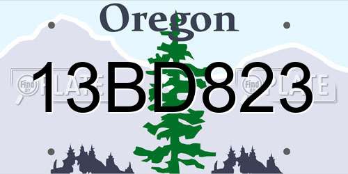 13BD823 Oregon License Plate