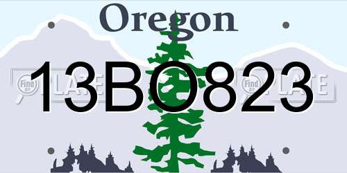 13BO823 Oregon License Plate