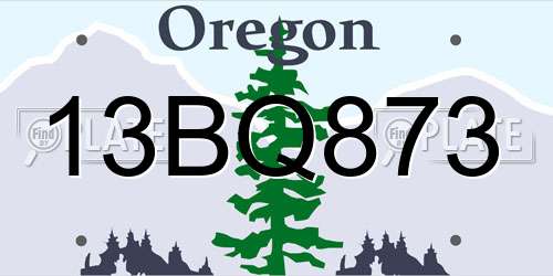 13BQ873 Oregon License Plate