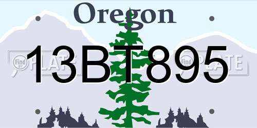 13BT895 Oregon License Plate
