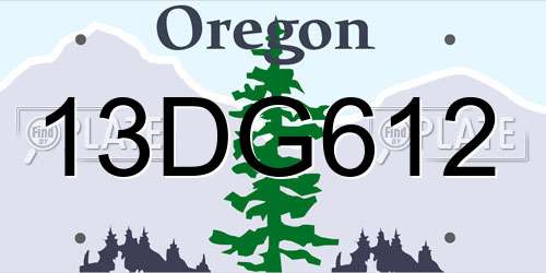13DG612 Oregon License Plate