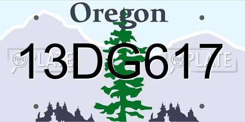13DG617 Oregon License Plate