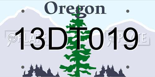 13DT019 Oregon License Plate
